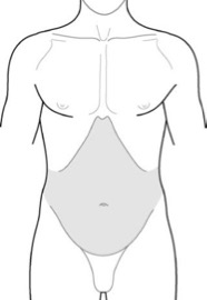pelvis3
